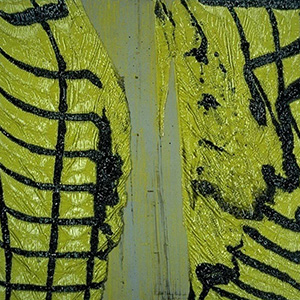 Grid Paintings 1994-2003 